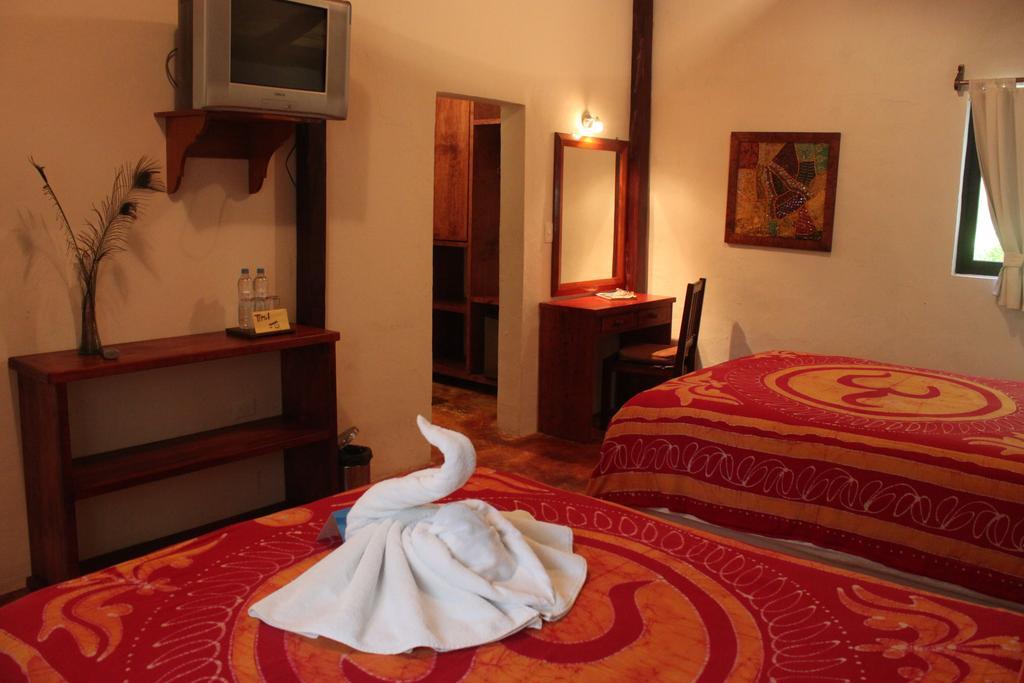 Fusion Beach Hotel بلايا ديل كارمن الغرفة الصورة